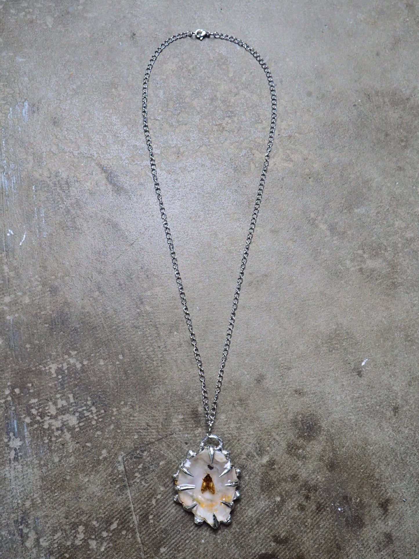 Preserved Moth Chain and Seashell by Caracol Rojo