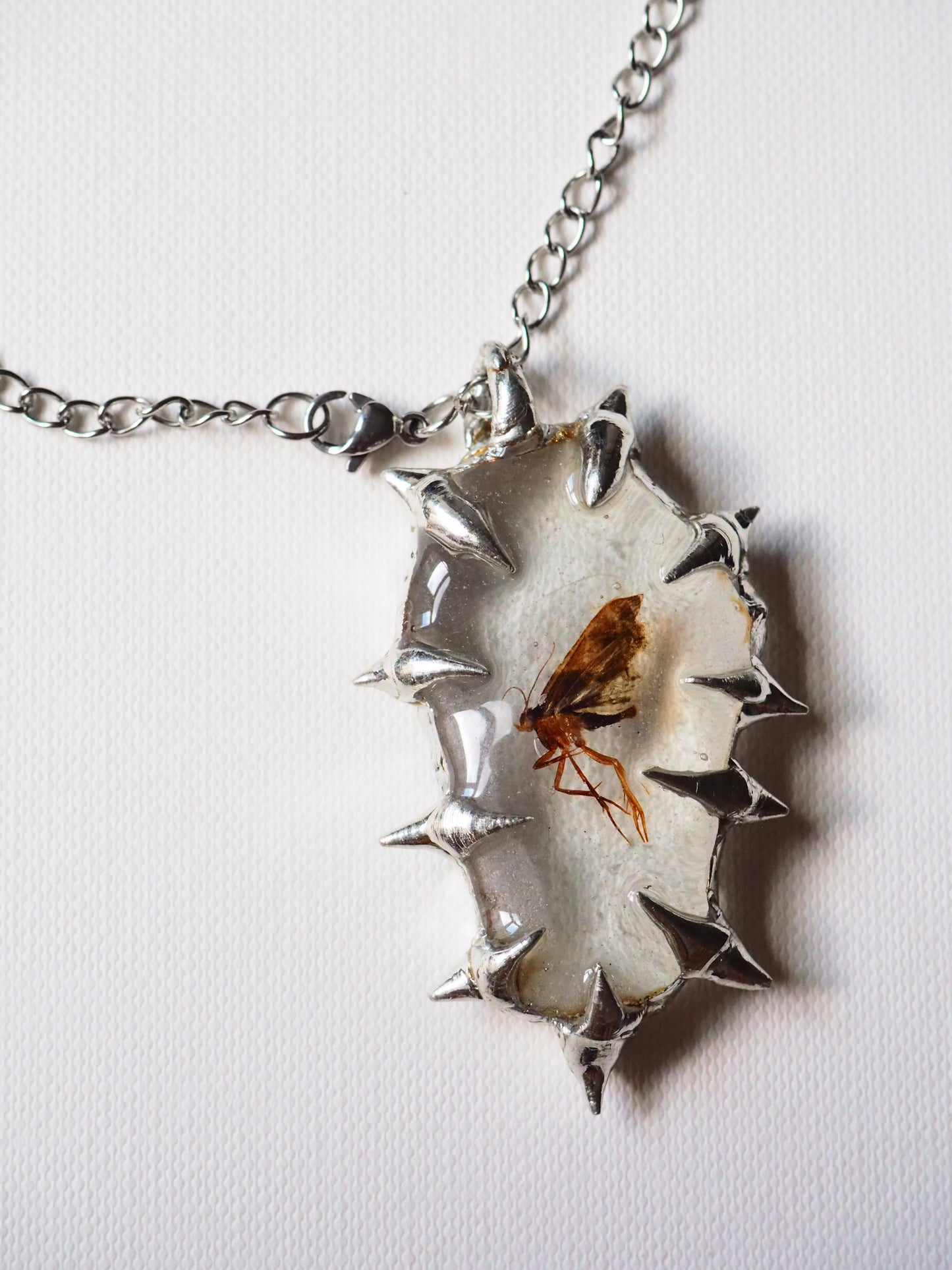 Preserved Moth and Sea Glass Chain by Caracol Rojo